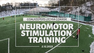 Neuromotor stimulation training Goalkeepers Lechia Gdańsk [upl. by Coad]