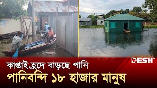 কাপ্তাই হ্রদের পানি বাড়ায় দুর্ভোগে ১৮ হাজার মানুষ  Kaptai Flood  News  Desh TV [upl. by Thisbee809]