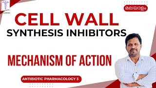 Antibiotics mode of action malayalam Penicillins Cephalosporins Vancomycin Cell wall Inhibitors [upl. by Khalil]