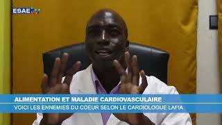 LE COEUR ET LES MALADIES CARDIOVASCULAIRES [upl. by Ahsinawt]