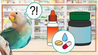 💧💊🦜 ¿Deberías darles VITAMINAS y SUPLEMENTOS a tus LORITOS 🤔 [upl. by Yentruoc]