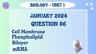 Alevel Biology  Unit 1  January 2024  Question paper  Question 6 [upl. by Atillertse]