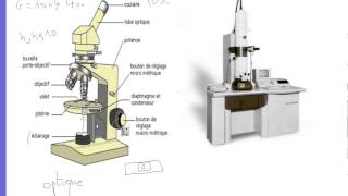 Biologie Cellule  La cellule vue au microscope optique [upl. by Sorac]