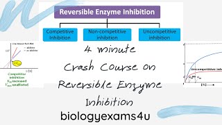 Competitive Noncompetitive and Uncompetitive inhibition4 Minute Summary [upl. by Nysilla]