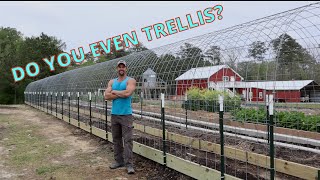 Cattle Panel Trellis Build  HowtoDIY [upl. by Adnylam208]