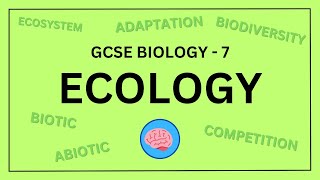 AQA GCSE Biology in 10 Minutes  Topic 7  Ecology [upl. by Samtsirhc]