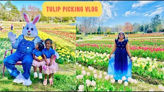 அமெரிக்காவில் Tulip Garden Visit  Diya School performance  USA Tamil vlog [upl. by Jaehne566]