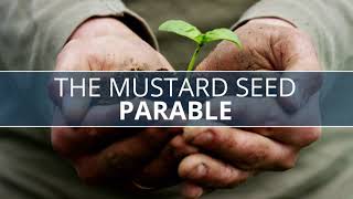 Parable Of The Mustard Seed Explained l Parable Of The Mustard Seed Reflection l Bible Study [upl. by Doxia]