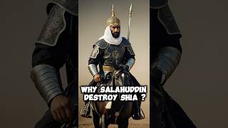 Why did Salahuddin Ayyubi destroy Shia Fatimids [upl. by Wooster523]