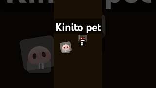 Kinston pet [upl. by Attevaj]