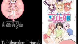 Tachibanakan Triangle MEGA ACTUALIZABLE [upl. by Nnaihs375]