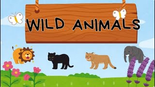 WILD ANIMALS Animales salvajes [upl. by Rorry888]