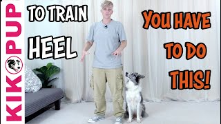 Train Your Dog To HEEL  BEGINNER TIP  Professional Dog Training [upl. by Shushan]