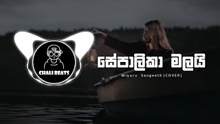 SEPALIKA MALAI  miyurusangeeth Cover  CHALI BEATS [upl. by Lory]