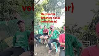 Hernandez Brothers tenor voice Jomar bulud nga ayatilocano music singingcoversong [upl. by Neiviv]