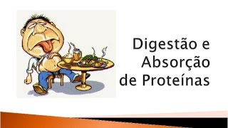 Digestão de proteinas Anabolismo catabolismo [upl. by Ynaitirb709]