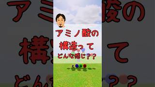 【1分でわかる】アミノ酸の構造とペプチド結合について初心者にも分かりやすく解説！ [upl. by Enavi]