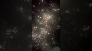 Sony 2inch shell cactus rain failure fireworks crackers diwalicelebration diwali diwali2024 [upl. by Ingmar]