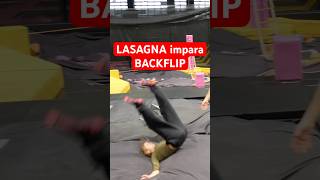 LASAGNA IMPARA BACKFLIP [upl. by Aniretac]