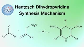 Hantzsch Dihydropyridine Synthesis Mechanism  Organic Chemistry [upl. by Ime]