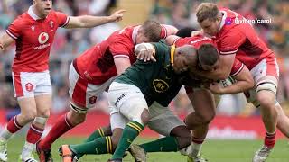 Springboks vs Wales [upl. by Tada68]