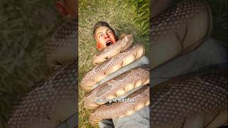 Human vs Snake 3D Animation shorts 3danimation [upl. by Janerich]