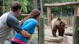 Hombre Empuja a su Novia al Recinto de un Oso Grizzly Luego Pasa Esto [upl. by Lachman]