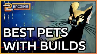 COMPANIONS 20 META amp BEST BUILDS  Warframe [upl. by Teirrah]