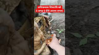 हर समस्या का हल।। Ek Lota Jal Bholenath per chadhaen5 [upl. by Pallaten]