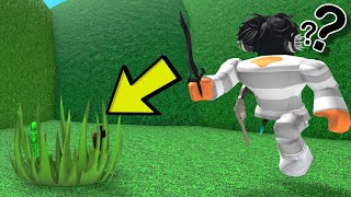 This GLITCH Will ALWAYS MAKE YOU WIN in Roblox Murder Mystery 2 [upl. by Aiblis]