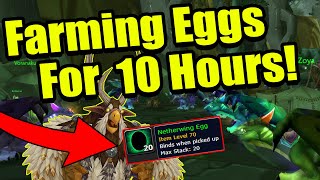 Farming Netherwing Reputation For 10 Hours  Classic WoW TBC [upl. by Nortal219]