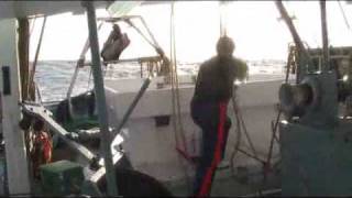 Prawn Trawler Boats Part 10  Daytime Heading Home amp Unloading [upl. by Crofton]