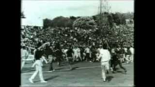 Football Hooligan Documentary [upl. by Sclater]