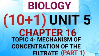 NEET BIO 101 CHAPTER 16 VIDEO 8 [upl. by Dloreg711]