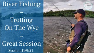 River Wye Fishing  Stick Float Long Trotting For Chub  Great Session  11921 Video 273 [upl. by Orit]