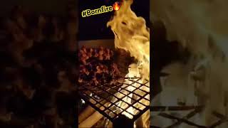 Bornfire at Chilapata Jungle Resort😍 chilapata bornfire chickenroast roastedchicken [upl. by Atnauqahs284]