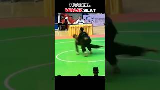 Tutorial Pencak silat technique silat martialarts mma fighter [upl. by Ehrsam]