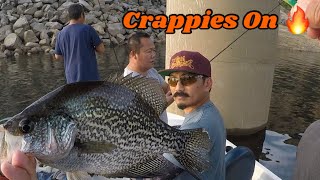 Lake Kaweah Crappies Fishing [upl. by Nellac532]