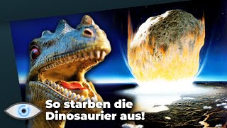 So hat der Asteroid die Dinosaurier vernichtet Die ersten 24 Stunden nach dem Einschlag [upl. by Nailluj]