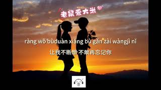 PinyinLyrics Laoshu ai dami Cover Wangbinbin  老鼠爱大米 Cover 王濱濱 [upl. by Anomis]