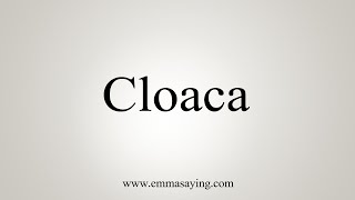 How To Say Cloaca [upl. by Ave170]