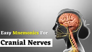 Easy Mnemonics for Cranial nerves  Doctor Speaks [upl. by Mayda239]