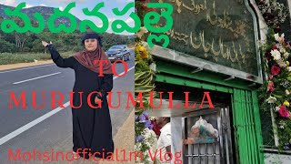 మదనపల్లె To Murugumulla Ammajan Bavajan New Vlog Mohsinofficial1m [upl. by Korff78]