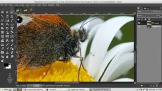 GIMP 295 AppImage  PhotoFlow plugin tutorial v2 [upl. by Yusem964]