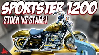 How Fast Is a Harley Sportster 1200 Stock vs Stage 1 [upl. by Ihn]