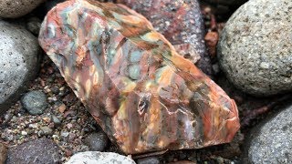 Oregon Only Stones RockHounding Opal Jasper Agate 2019 [upl. by Nyroc]