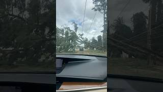 Driving Underneath Tree Hanging On Powerlines hurricane [upl. by Ives]