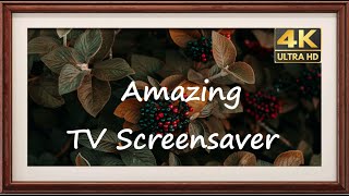 Silent TV Screensaver 4K UHD [upl. by Garrek]