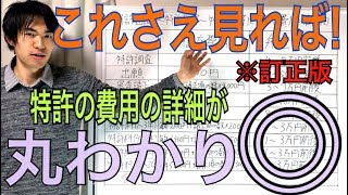 特許出願〜特許取得〜特許維持にかかる費用の詳細特許編 ※訂正版 [upl. by Danie706]