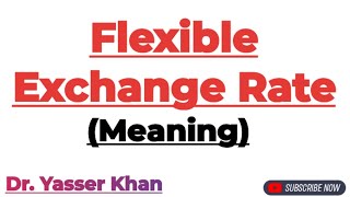 Flexible Exchange Rate  Meaning Of Flexible Exchange Rate  Foreign Exchange  Economics  CUET UGC [upl. by Hepsiba]